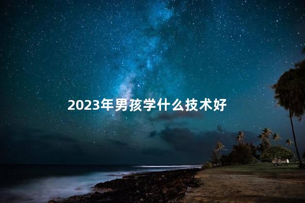 2023年男孩学什么技术好