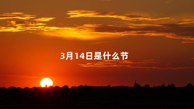 3月14日是什么节