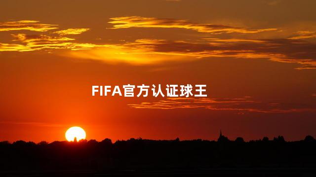 FIFA官方认证球王