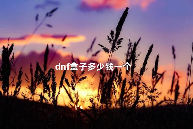 dnf盒子多少钱一个