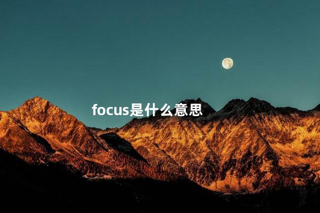 focus是什么意思