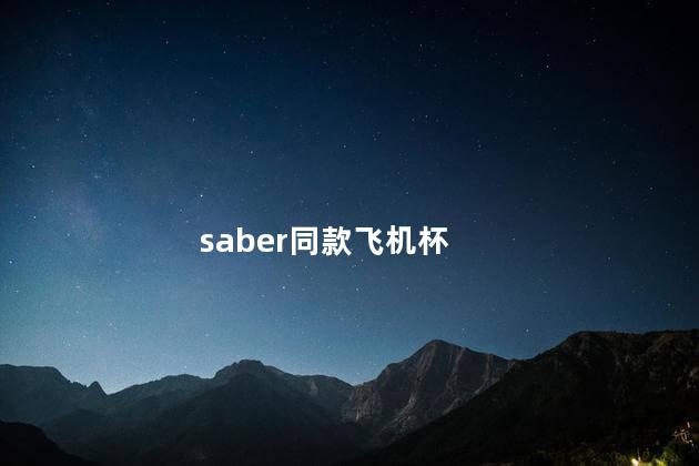 saber同款飞机杯