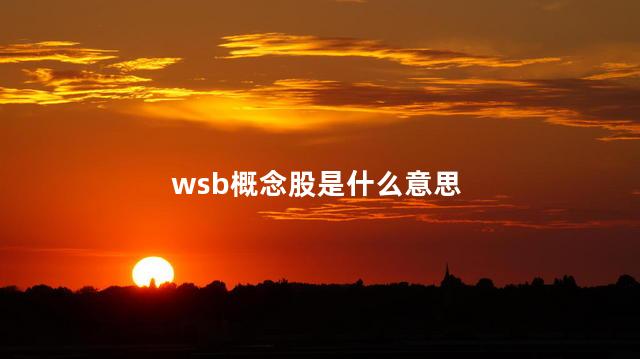 wsb概念股是什么意思