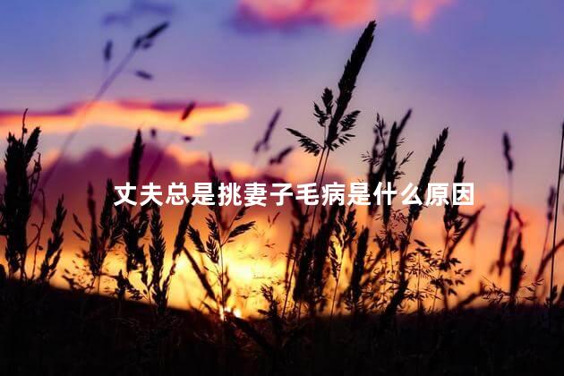 丈夫总是挑妻子毛病是什么原因