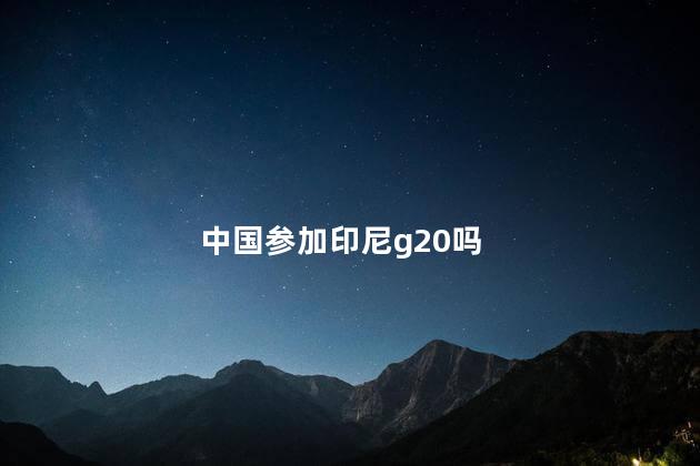 中国参加印尼g20吗