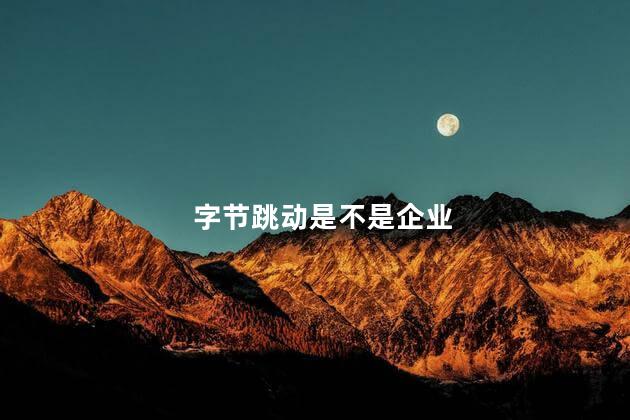 字节跳动是不是企业