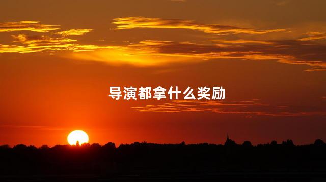 导演都拿什么奖励