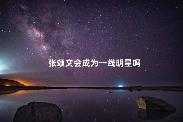 张颂文会成为一线明星吗