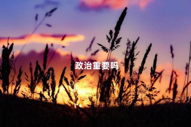 政治重要吗