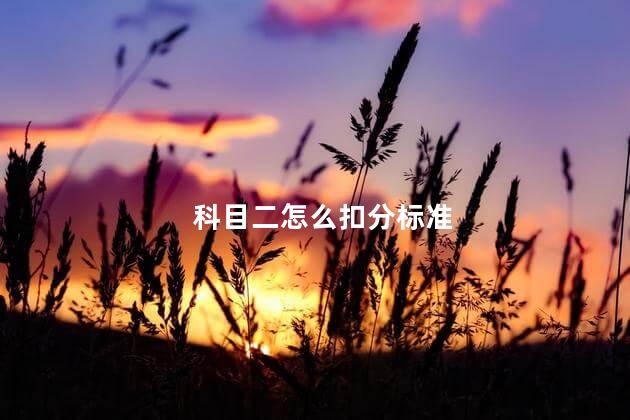 科目二怎么扣分标准