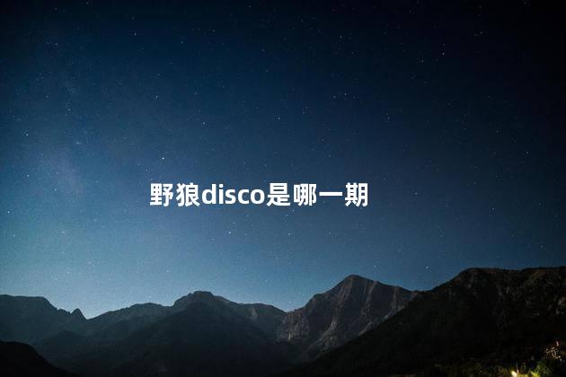 野狼disco是哪一期